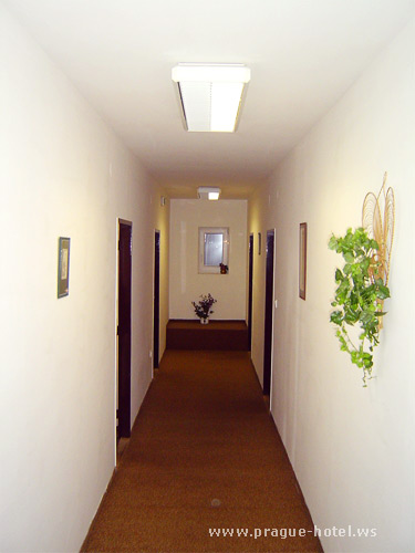Foto des Korridor.